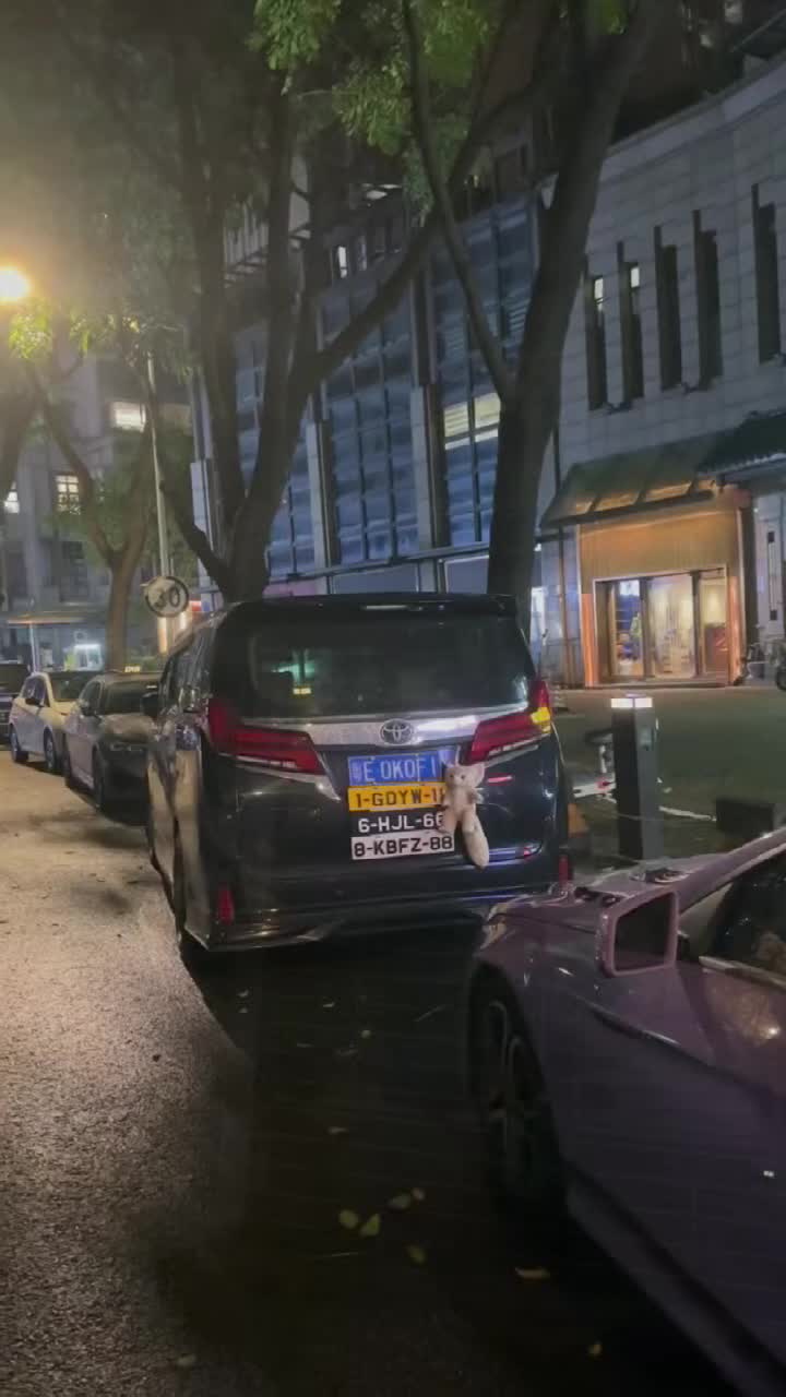 視頻封面